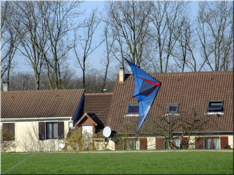 photo17.jpg