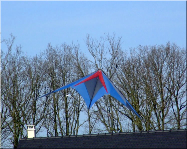 photo22.jpg