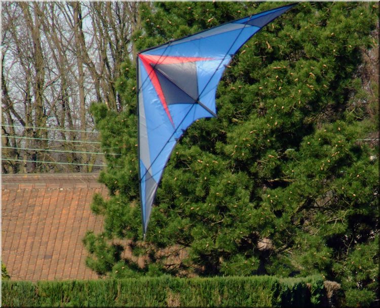 photo23.jpg