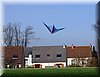 photo04.jpg