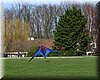 photo14.jpg