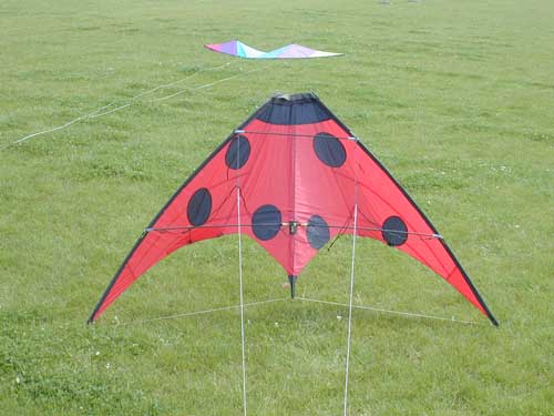 coccinel.jpg