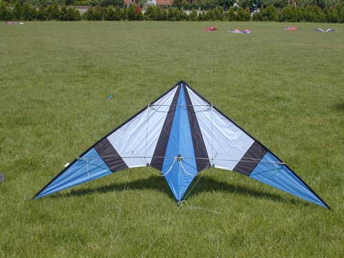 overfly.jpg