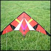 Proto rouge