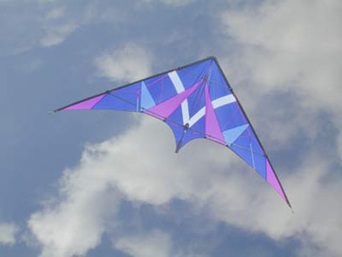 proto 8
