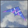 Proto 8