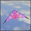 Proto 9