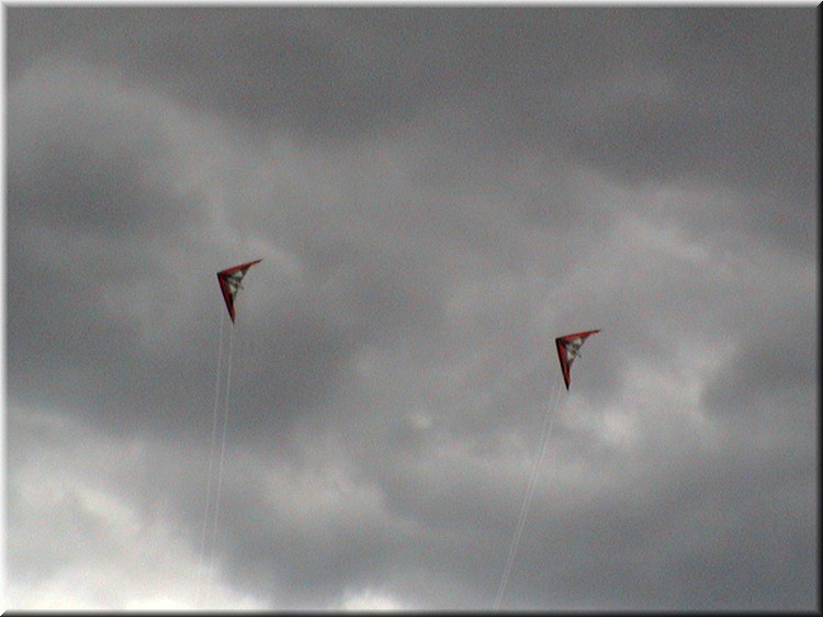 pilotable008.jpg