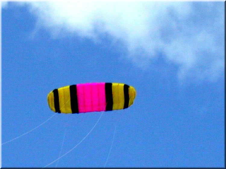 pilotable062.jpg