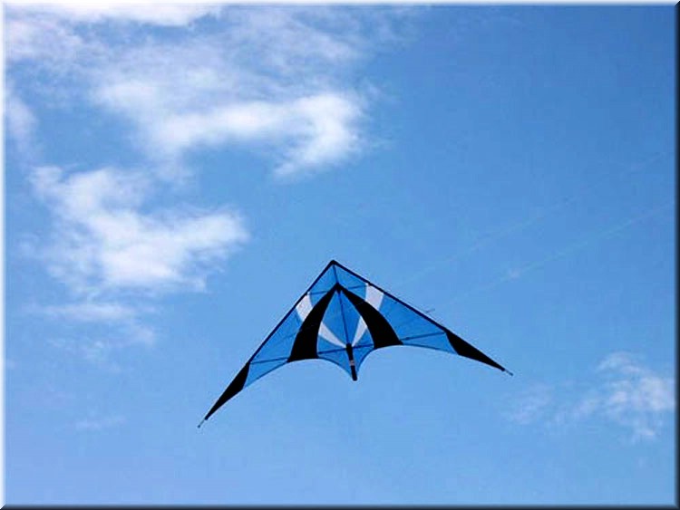 pilotable095.jpg