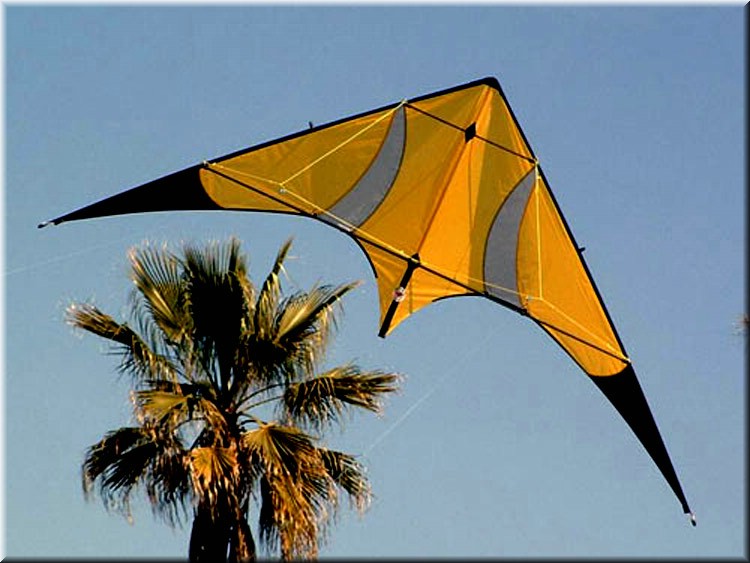 pilotable099.jpg