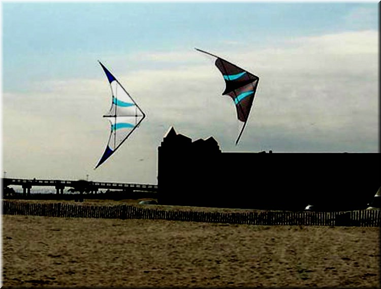 pilotable105.jpg