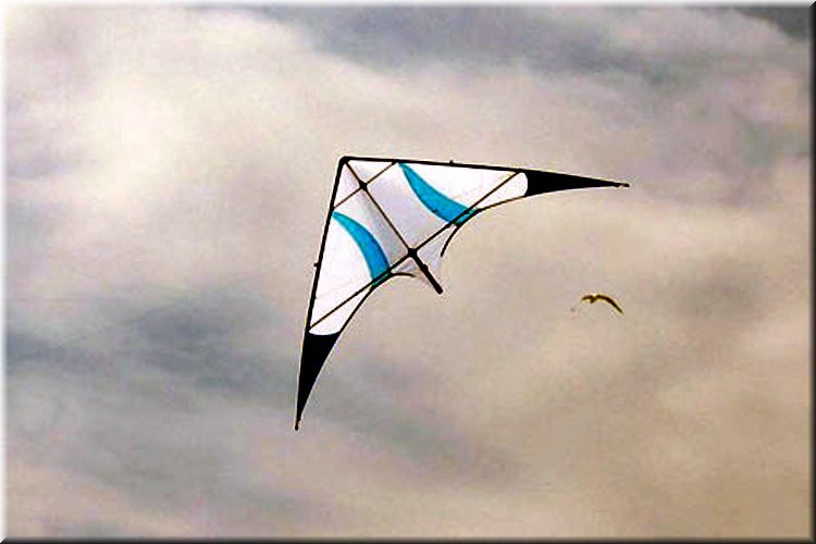pilotable106.jpg