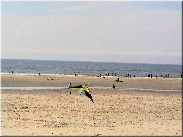 pilotable146.jpg