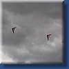 pilotable008.jpg