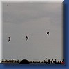 pilotable009.jpg