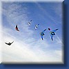 pilotable082.jpg