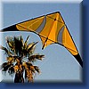 pilotable099.jpg