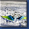 pilotable139.jpg
