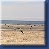 pilotable146.jpg