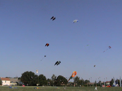 photo2.jpg