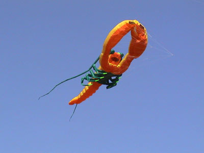 photo7.jpg