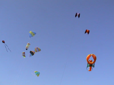 photo9.jpg