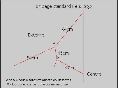 std_3.jpg