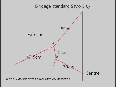 std_cit_1.jpg