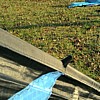 photo9.jpg