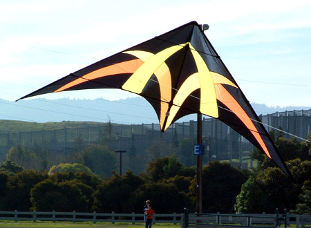 stx-51.jpg