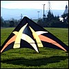 stx-49.jpg