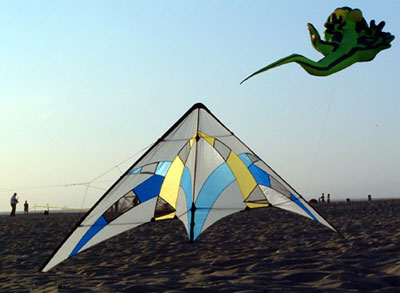 quel-oiseau.jpg