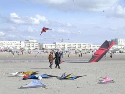 petole_a_berck.jpg